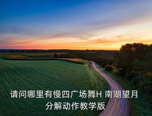 请问哪里有慢四广场舞H 南湖望月 分解动作教学版