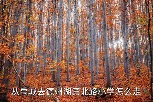 辛集凤凰照相在哪里，济南至夏口几点车