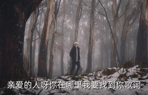 亲爱的你呀你在哪里呀，亲爱的你到底在哪里 是什么歌