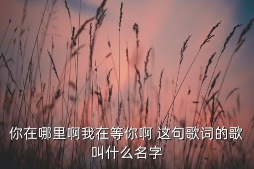 你在哪里啊我在等你啊 这句歌词的歌叫什么名字