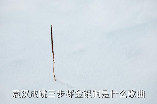 袁汉成跳三步踩金银铜是什么歌曲