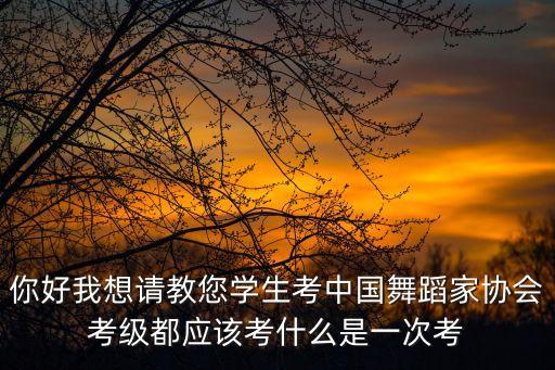 你好我想请教您学生考中国舞蹈家协会考级都应该考什么是一次考