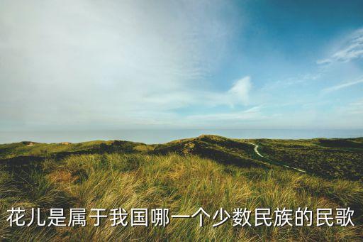 花儿是属于我国哪一个少数民族的民歌