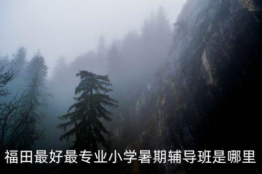 福田最好最专业小学暑期辅导班是哪里