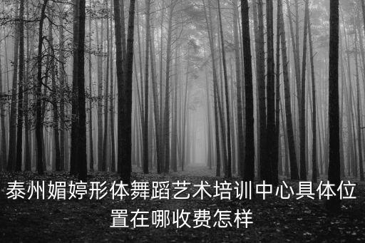 泰州媚婷形体舞蹈艺术培训中心具体位置在哪收费怎样