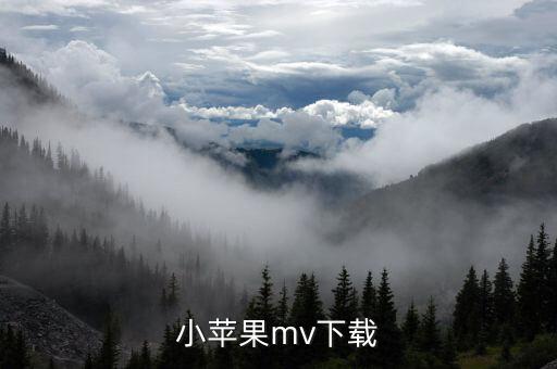 小苹果mv下载