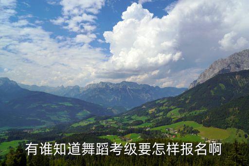 有谁知道舞蹈考级要怎样报名啊