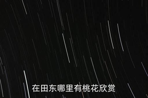 在田东哪里有桃花欣赏