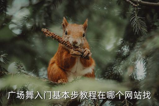 广场舞入门基本步教程在哪个网站找