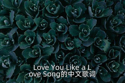 Love You Like a Love Song的中文歌词