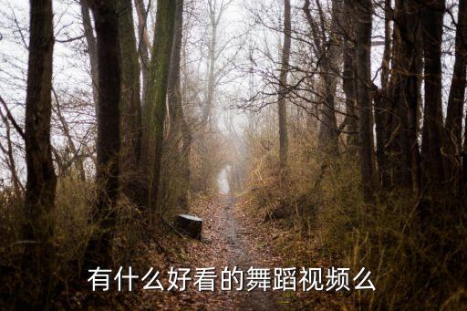 有什么好看的舞蹈视频么