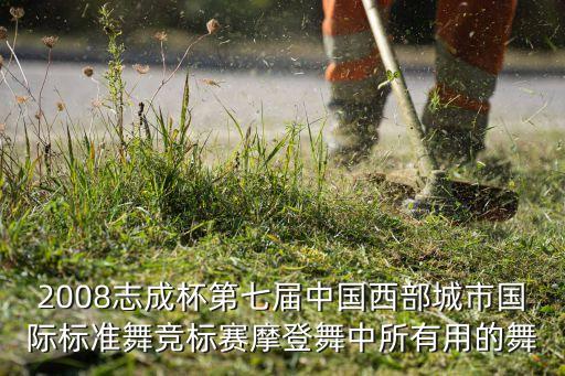 2008志成杯第七届中国西部城市国际标准舞竞标赛摩登舞中所有用的舞