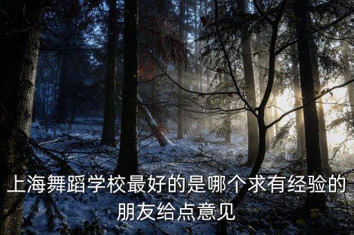 上海舞蹈学校最好的是哪个求有经验的朋友给点意见