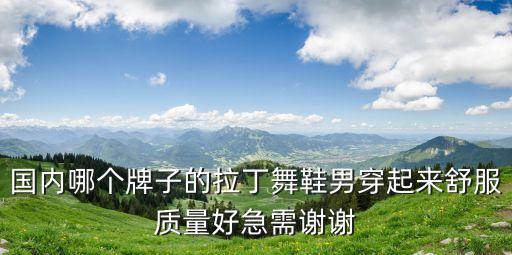 国内哪个牌子的拉丁舞鞋男穿起来舒服质量好急需谢谢