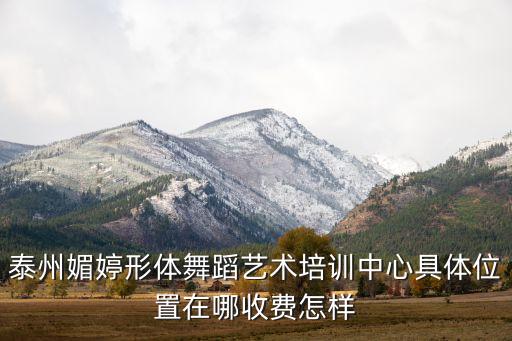 泰州媚婷形体舞蹈艺术培训中心具体位置在哪收费怎样