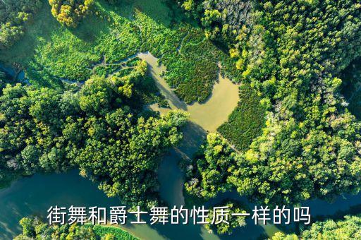 爵士舞属于什么风格，爵士舞是一种什么风格的舞蹈呢