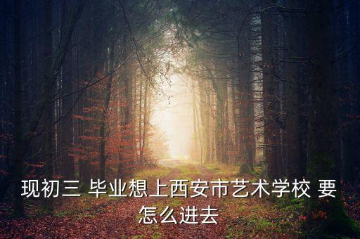 西安艺术高中录取条件，只会文化课的初中生可以考西安艺术高级高中吗