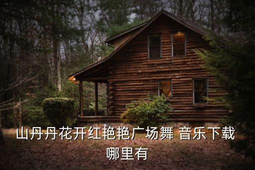 山丹丹花开红艳艳广场舞 音乐下载 哪里有