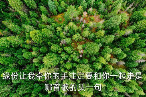 缘分让我牵你的手是什么歌，缘分注定让我牵你的手注定要和你一起走不管前方有多少风雨