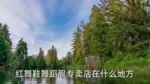 南京仙林红舞鞋在哪里，请问南京哪里有卖舞蹈鞋的