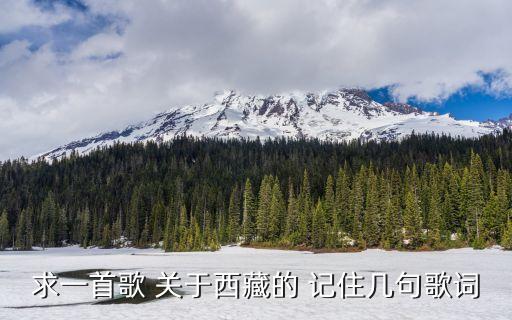 雪山阿佳什么舞种 哪个民族的歌，有三位藏族女歌手唱的歌好听不知是什么组合