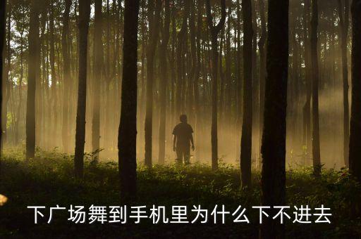 下广场舞到手机里为什么下不进去