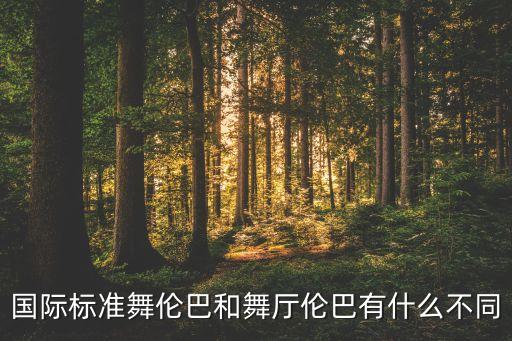 国际标准舞伦巴和舞厅伦巴有什么不同