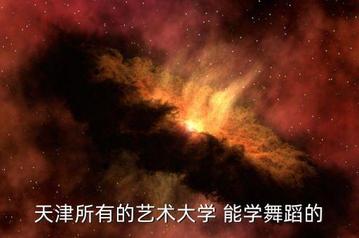 天津所有的艺术大学 能学舞蹈的