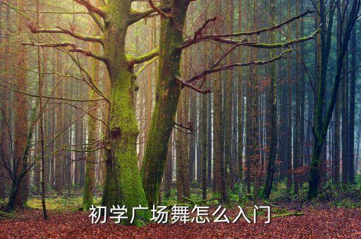 初学广场舞怎么入门