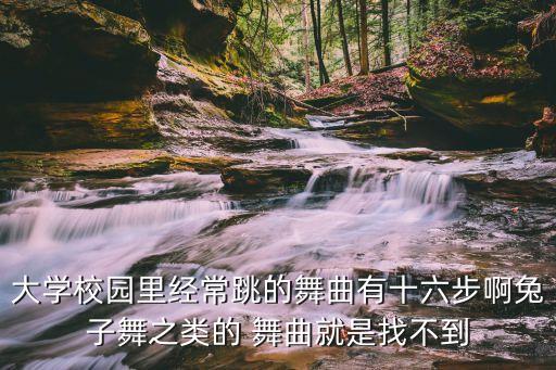大学校园里经常跳的舞曲有十六步啊兔子舞之类的 舞曲就是找不到