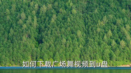 如何下载广场舞视频到u盘