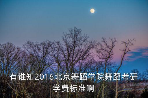 有谁知2016北京舞蹈学院舞蹈考研学费标准啊
