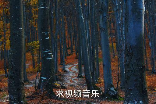 播放一年级舞蹈，求视频音乐