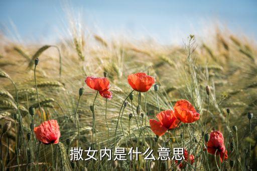 撒女内是什么意思