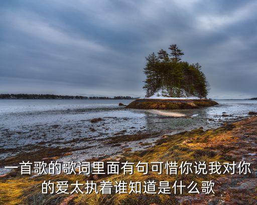 一首歌的歌词里面有句可惜你说我对你的爱太执着谁知道是什么歌