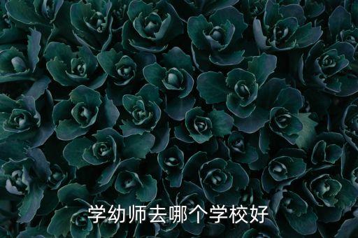 学幼师在哪里学比较好，学幼师去哪个学校好