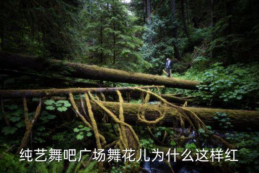 纯艺舞吧广场舞花儿为什么这样红
