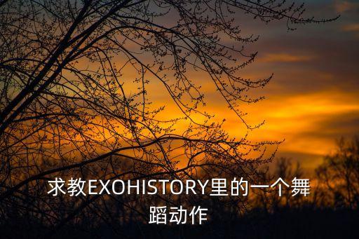 求教EXOHISTORY里的一个舞蹈动作