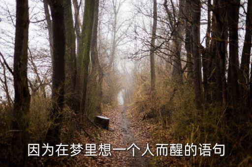 因为在梦里想一个人而醒的语句