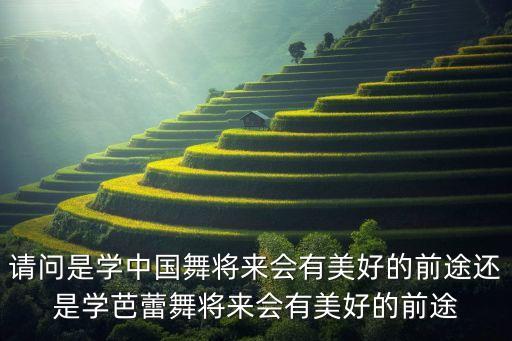 北京舞蹈学院中国舞和芭蕾舞哪个好，中国舞和芭蕾哪个吃香