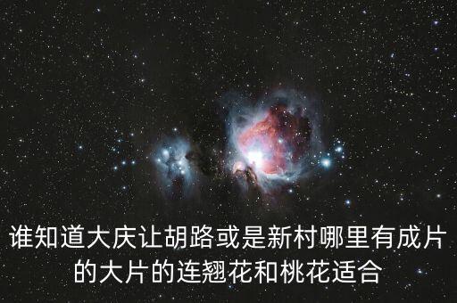 谁知道大庆让胡路或是新村哪里有成片的大片的连翘花和桃花适合