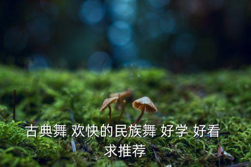 古典舞 欢快的民族舞 好学 好看 求推荐