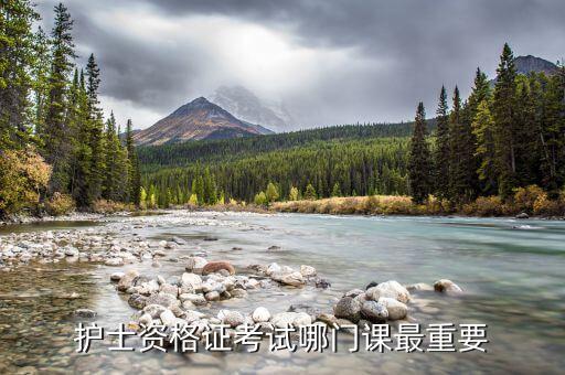 护士资格证考试哪门课最重要