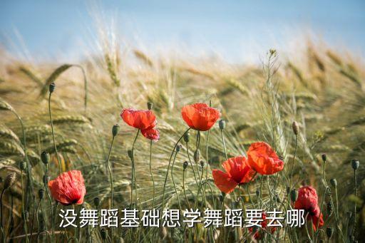 没舞蹈基础想学舞蹈要去哪