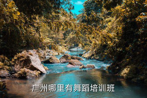 广州月光舞蹈培训，广州哪里有舞蹈培训班