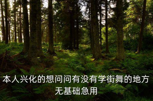 本人兴化的想问问有没有学街舞的地方无基础急用