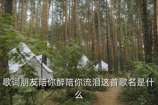 歌词朋友陪你醉陪你流泪这首歌名是什么