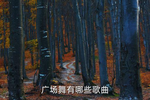 广场舞有哪些歌曲