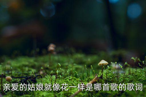 亲爱的姑娘就像花一样是哪首歌的歌词