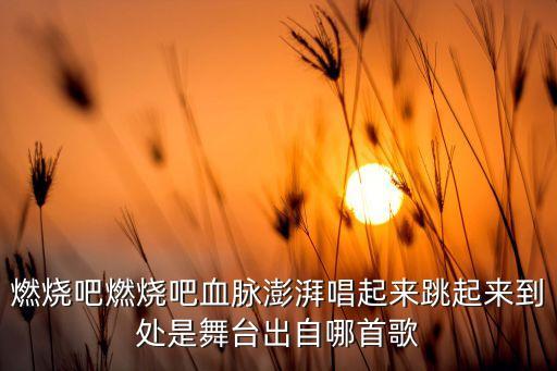舞起来跳起来是什么歌，燃烧吧燃烧吧血脉澎湃唱起来跳起来到处是舞台出自哪首歌